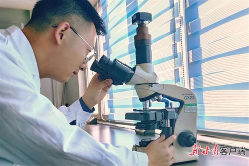 研發(fā)賦能，增產(chǎn)擴(kuò)能 金川集團(tuán)以新材料技術(shù)驅(qū)動(dòng)新能源電池產(chǎn)業(yè)鏈持續(xù)壯大